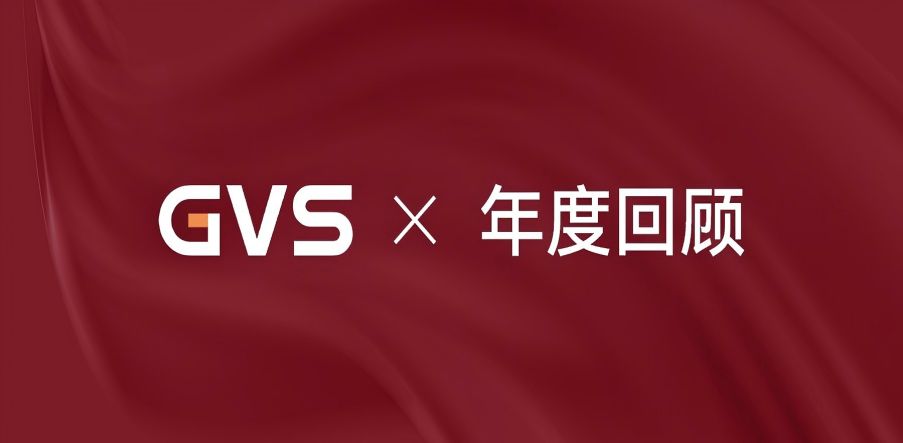 GVS 2024年終總結(jié)，請(qǐng)您查收